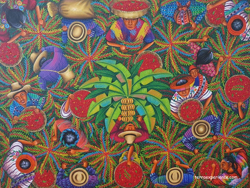 Angelina Quic Large Oil Painting - Mayan Coffee Harvest Overhead  (P-L-AQ-21-B) 30