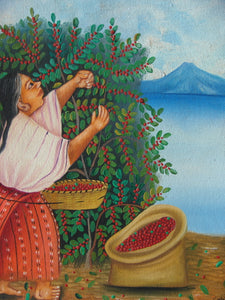 Gaspar Aju Navichoc Oil Painting - Santiago Atitlan Coffee Harvest  (P-M-GAN-008)  9" x 11"