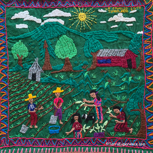 Mayan Embroidered Folk Art Tapestry 0R-01:  La Familia Esta Trabajado (The family is working) - Maria Morrles Quino