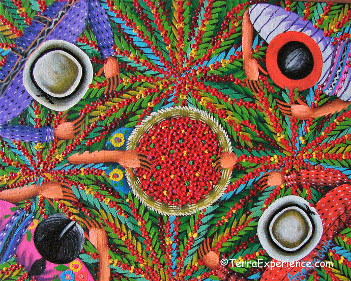 Angelina Quic Oil Painting - Mayan Coffee Picking Overhead  (P-M-AQ9-19P)