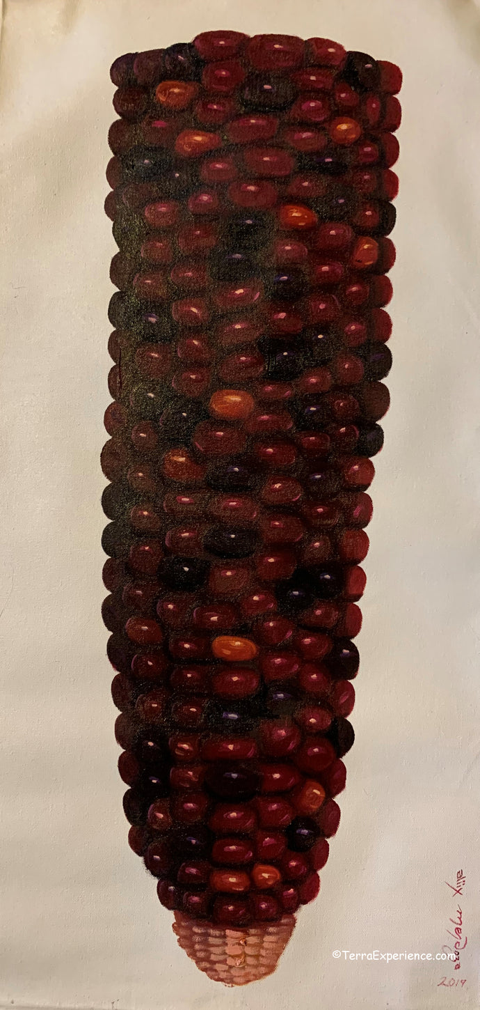 Aliix Mendoza Large Oil Painting -  Maize Rojo/ Red Corn (P-L-AM-20B) 15