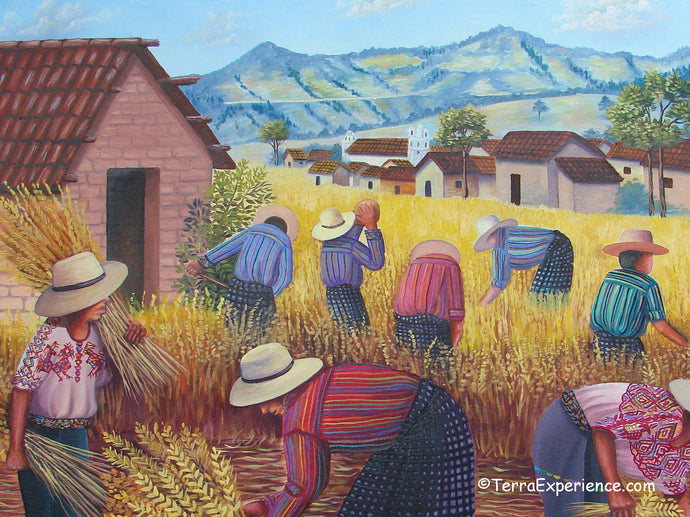 Domingo Coche Mendoza Large Oil Painting - Mayan Wheat Harvest in Nahuala  (P-L-DoCM-19A) 24