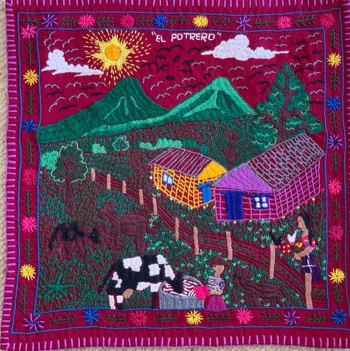 Mayan Embroidered Folk Art Tapestry __-R03:  