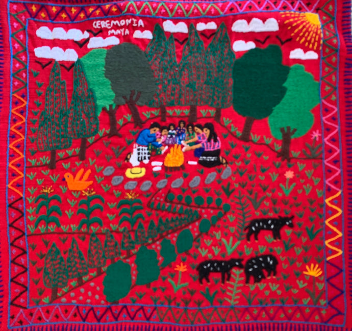 Mayan Embroidered Folk Art Tapestry __-R04:  